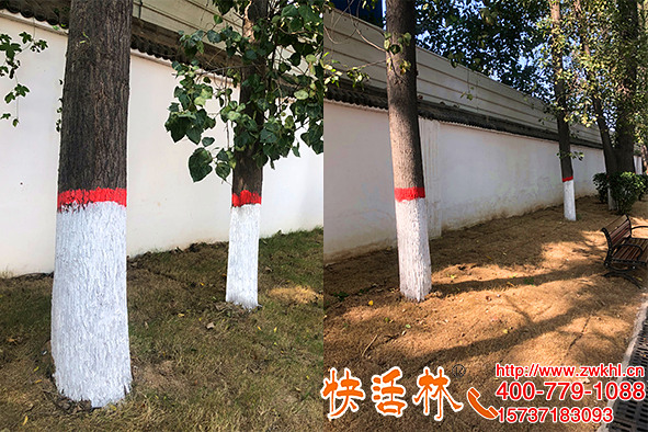 快活林涂白劑樹干涂白時間持續(xù)長，張經(jīng)理說噴施時間能省五六倍