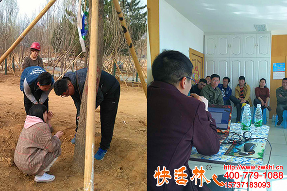 何經(jīng)理在沈陽園林養(yǎng)護產(chǎn)品為何持續(xù)合作快活林