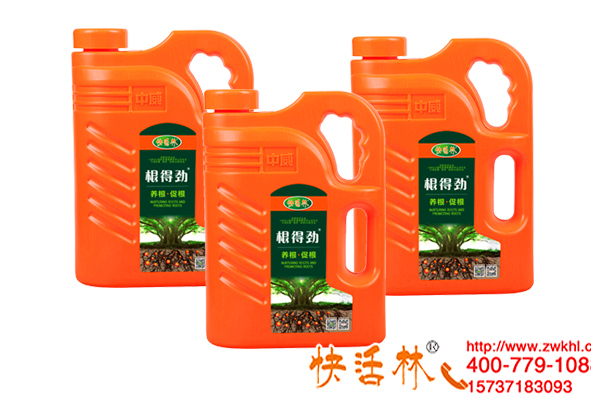 江蘇鹽城楊經(jīng)理綠化工程用快活林大樹移栽生根液促根改土