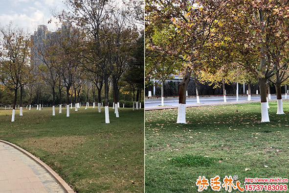 樹干涂白劑的作用，涂白劑哪個(gè)廠家好？