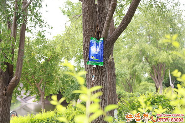 給樹輸液輸?shù)氖鞘裁矗磕姆N吊針液用著效果好？