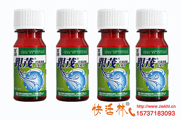 扦插月季怎么長得快快活林快速生根劑恢復(fù)力強用量大成活高