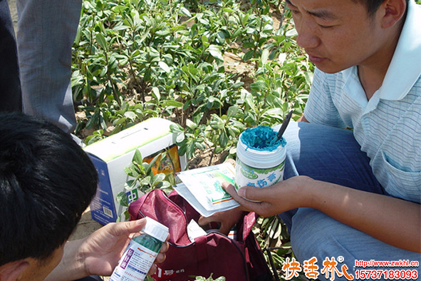 快活林愈傷膏使用現(xiàn)場(chǎng)
