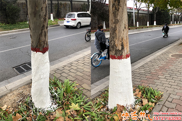 快活林涂白劑使用