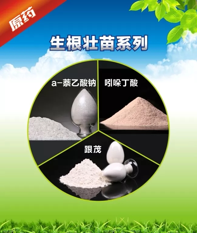 中威萘乙酸鈉生根壯根400-779-1088
