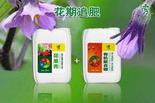 茄子花期追肥花果秀+有機聚合硼