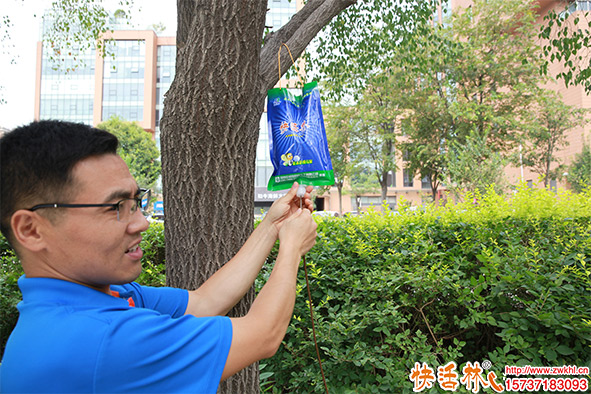大樹(shù)營(yíng)養(yǎng)液使用