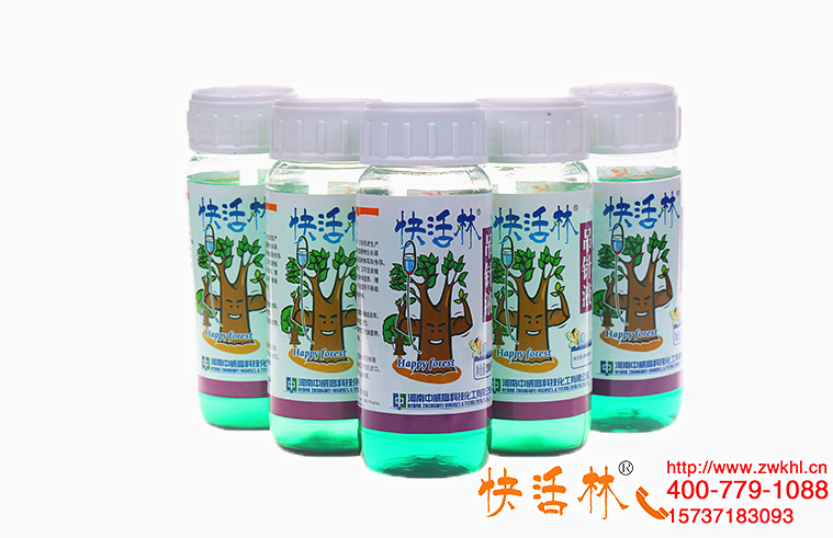 內(nèi)蒙古通遼鄭經(jīng)理給櫻桃樹掛上給樹補充營養(yǎng)的吊液半月黃葉消失