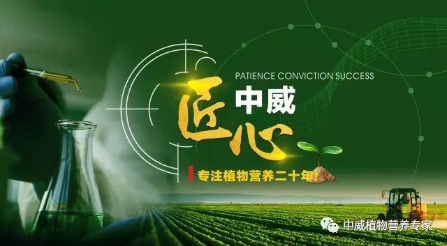 中威植物營養(yǎng)調(diào)節(jié)劑400-779-1088