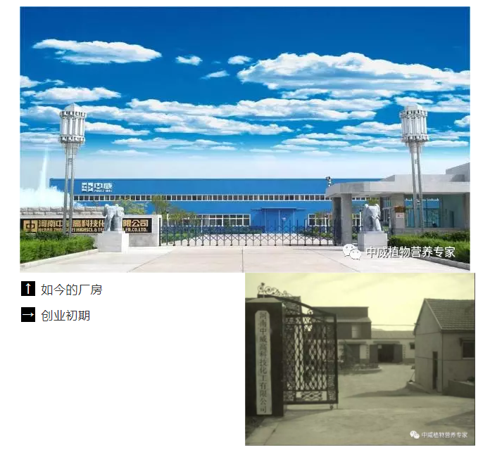 中威植物營養(yǎng)調(diào)節(jié)劑400-779-1088