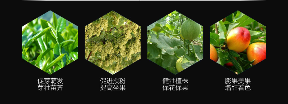 液體硼-_05
