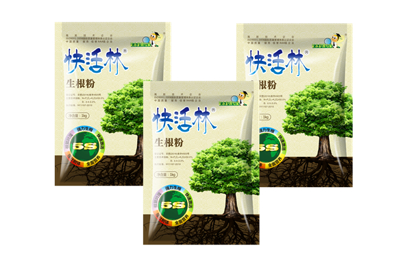 櫻桃移栽用什么品種的生根粉，陜西漢中呂經(jīng)理櫻桃苗成活率95%