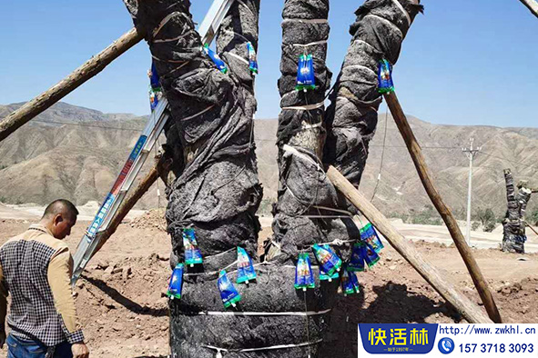 快活林營養(yǎng)液使用