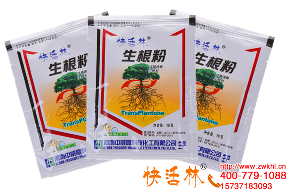什么品牌的生根劑好，宿州楊經(jīng)理木瓜扦插半月生根五六公分