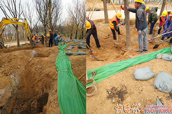 快活林菌地帶微生物菌肥