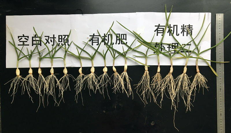 中威有機精400-779-1088