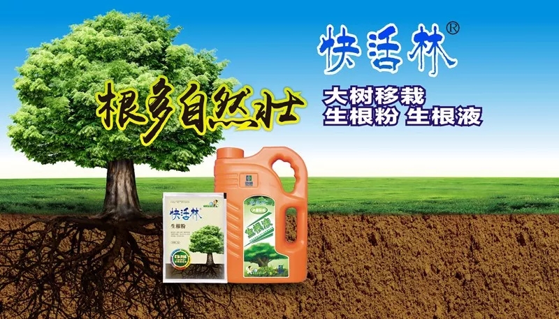 中威,中威春雨,樹木假死，樹木悶芽，快活林吊針液
