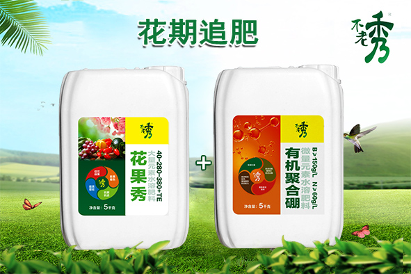 花期追肥不老秀花果秀+有機(jī)聚合硼