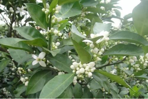 中威春雨?；ū９麖拖醴逾c400-779-1088