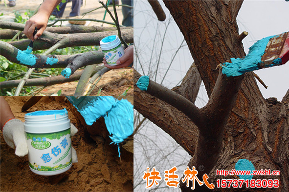 快活林植物傷口愈合劑有什么作用都在什么時(shí)期用