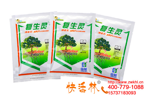 根腐難防治那是方法不對(duì)，江蘇南通胡經(jīng)理石榴樹(shù)再也沒(méi)有根腐病了