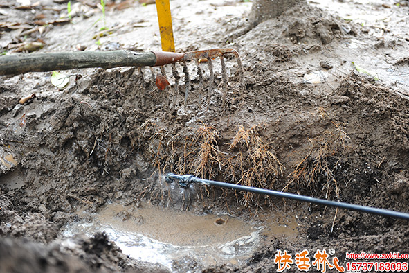 快活林生根劑根系養(yǎng)護(hù)
