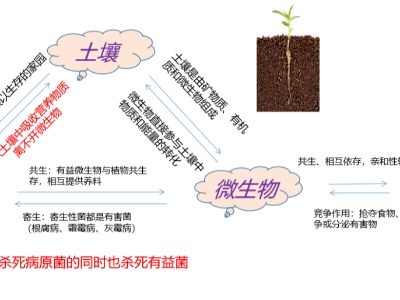 【新品上市】養(yǎng)根護根，提高免疫，促花保果，活化土壤，提高品質(zhì)——菌機密