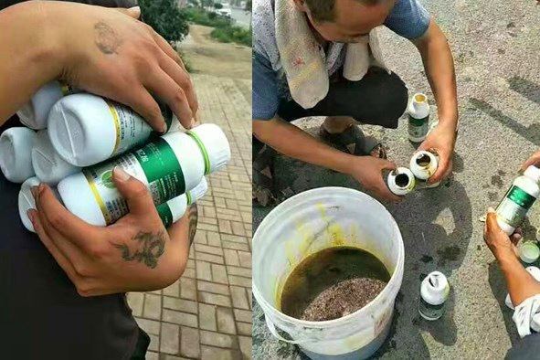 大樹(shù)移栽用什么生根劑？植物生根劑哪個(gè)好？