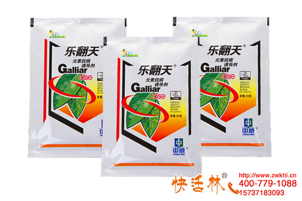 朱經(jīng)理把柏樹銹病當(dāng)開花，要不是遇到快活林就耽擱治療了