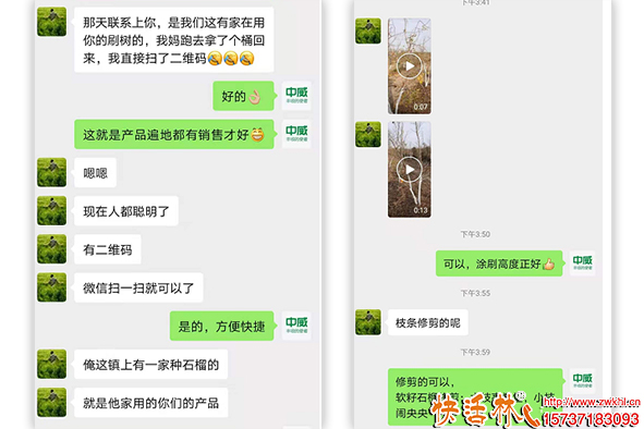 快活林石榴樹使用反饋