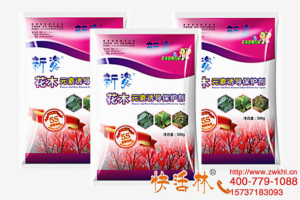 柏樹什么時候移栽成活高？柏樹種植該怎么養(yǎng)護？