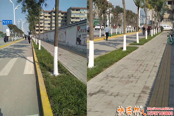 快活林涂白劑效果