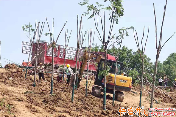 快活林生根劑工地養(yǎng)護