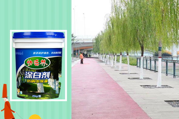 快活林樹木涂白劑防蟲蛀，湖北宜昌河堤重迎賓客