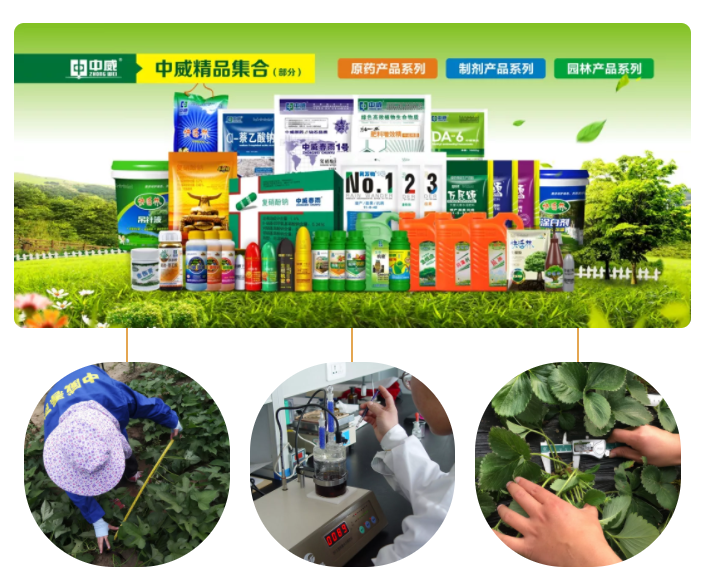 中威春雨植物營養(yǎng)調(diào)節(jié)劑400-779-1088