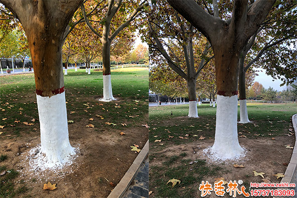 快活林涂白劑使用