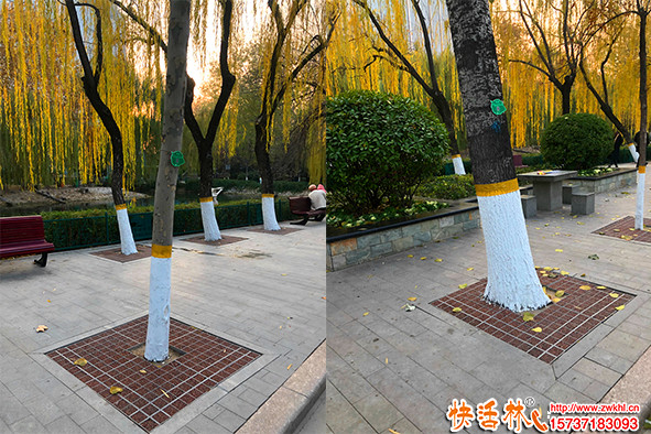 樹干涂白劑哪個好？如何選擇一款優(yōu)質(zhì)涂白劑？