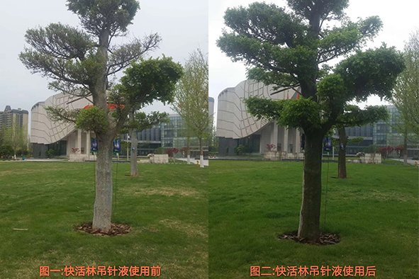 快活林吊針液使用