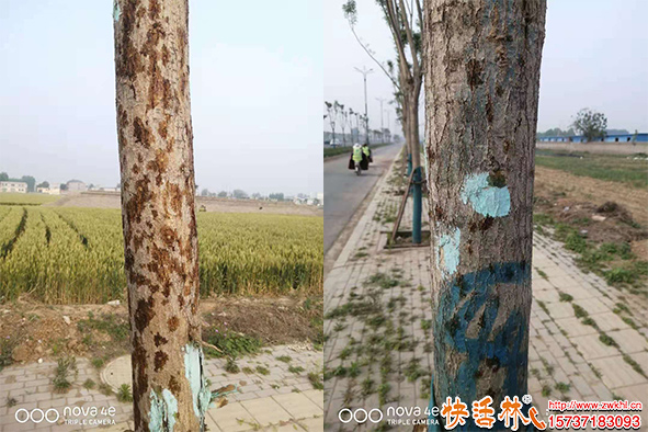 快活林國(guó)槐干腐治療
