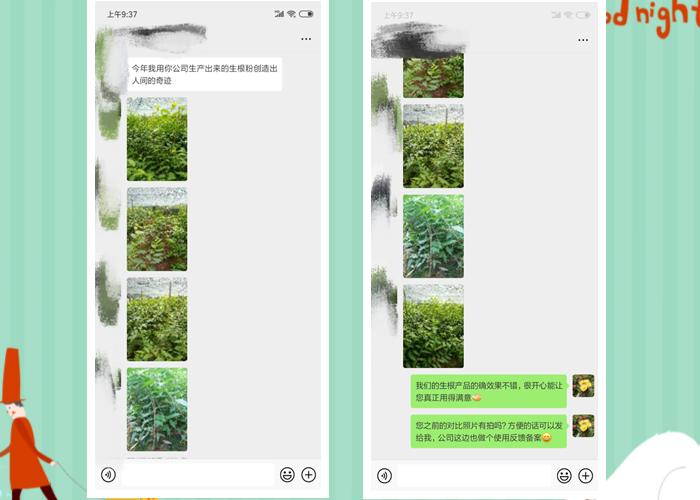 這么多年沒發(fā)現(xiàn)有什么好的生根劑，直到遇見了快活林