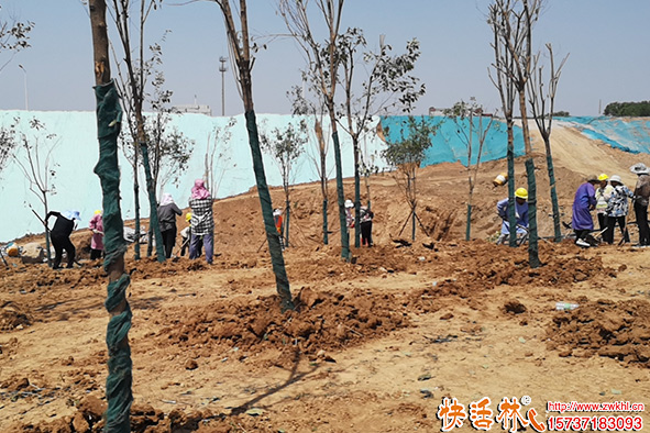 快活林工地指導(dǎo)養(yǎng)護