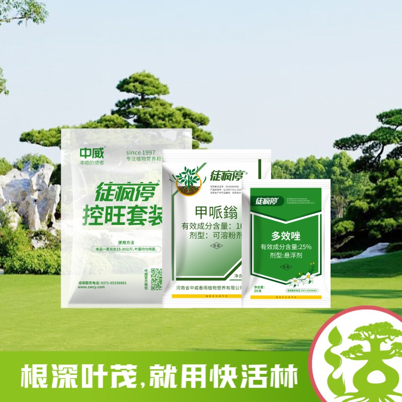徒瘋?？赝籽b