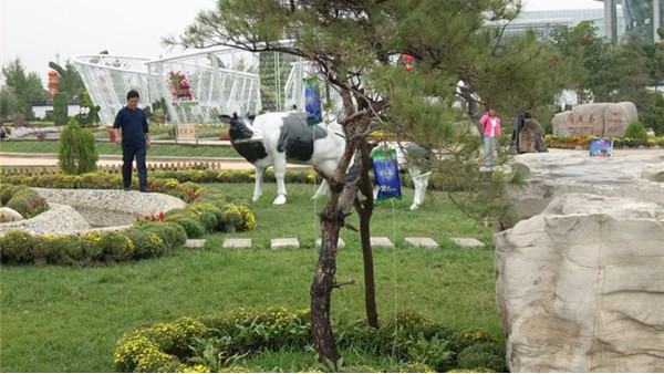 使用大樹(shù)營(yíng)養(yǎng)液的好處，掛的越多越好嗎