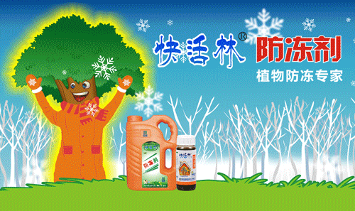 中威,中威春雨,花椒冬季養(yǎng)護(hù),花椒養(yǎng)護(hù)要點(diǎn),快活林涂白劑,快活林防凍劑