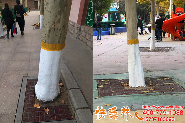 快活林樹(shù)木涂白劑供應(yīng)商，智能工廠供貨充足綠化涂白養(yǎng)護(hù)效果更佳