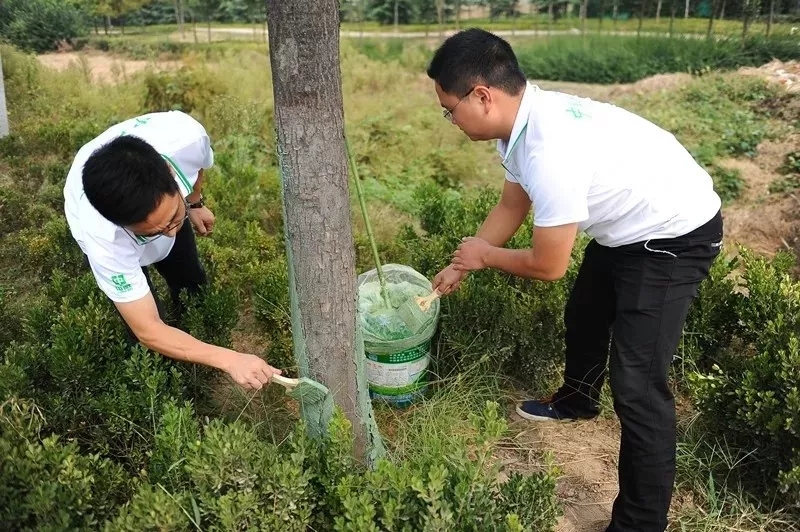 中威快活林果樹(shù)樹(shù)干涂白劑400-779-1088