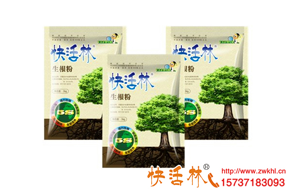 生根粉是什么對植物有害嗎，草莓壯苗為什么要用生根劑