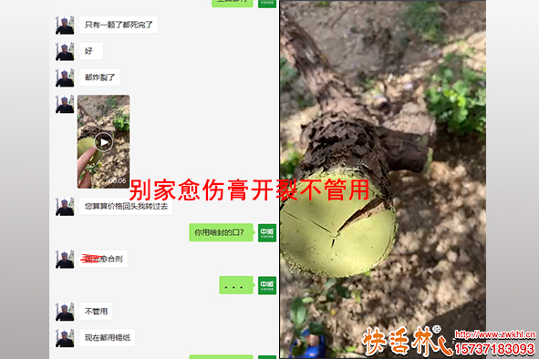 別家愈傷膏對比