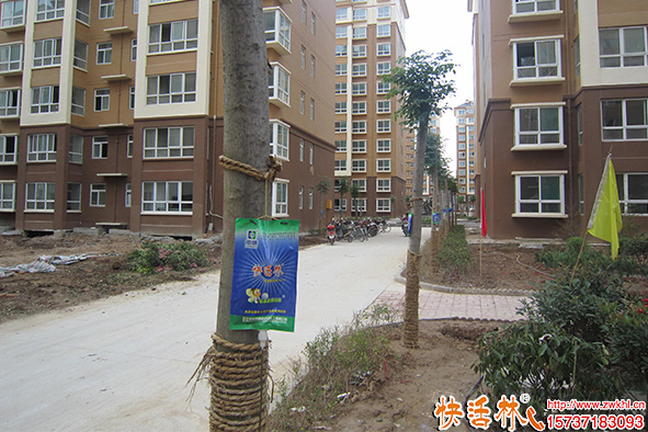 快活林營(yíng)養(yǎng)液養(yǎng)護(hù)