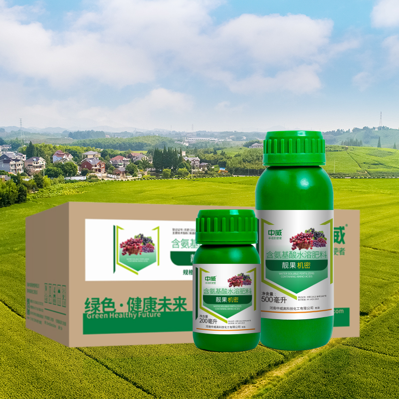 靚果機密
